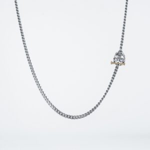 Minimalist silver necklace featuring a skull pendant on a white background, perfect for modern jewelry fashion.